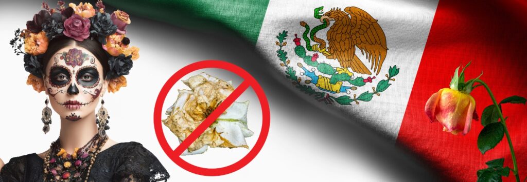 Cultivo preciso de rosas en México: cómo los sensores y la automatización aumentan el rendimiento y la vida útil en el jarrón 1 j-tecMexico-Rose-farmer