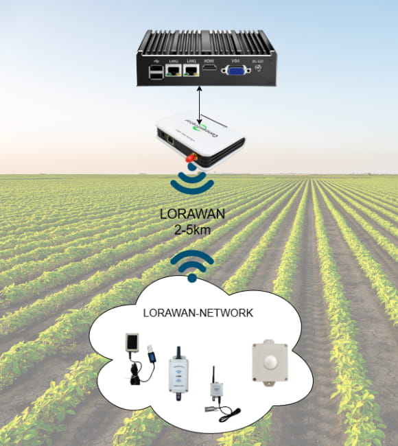 LoraWAN horticultural Sensor Network
