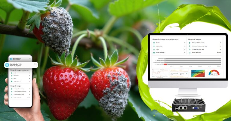 Botrytis Grey Mold Greenhouse-Monitoring