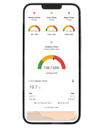 GDD Thrips Pest Thripse Dashboard